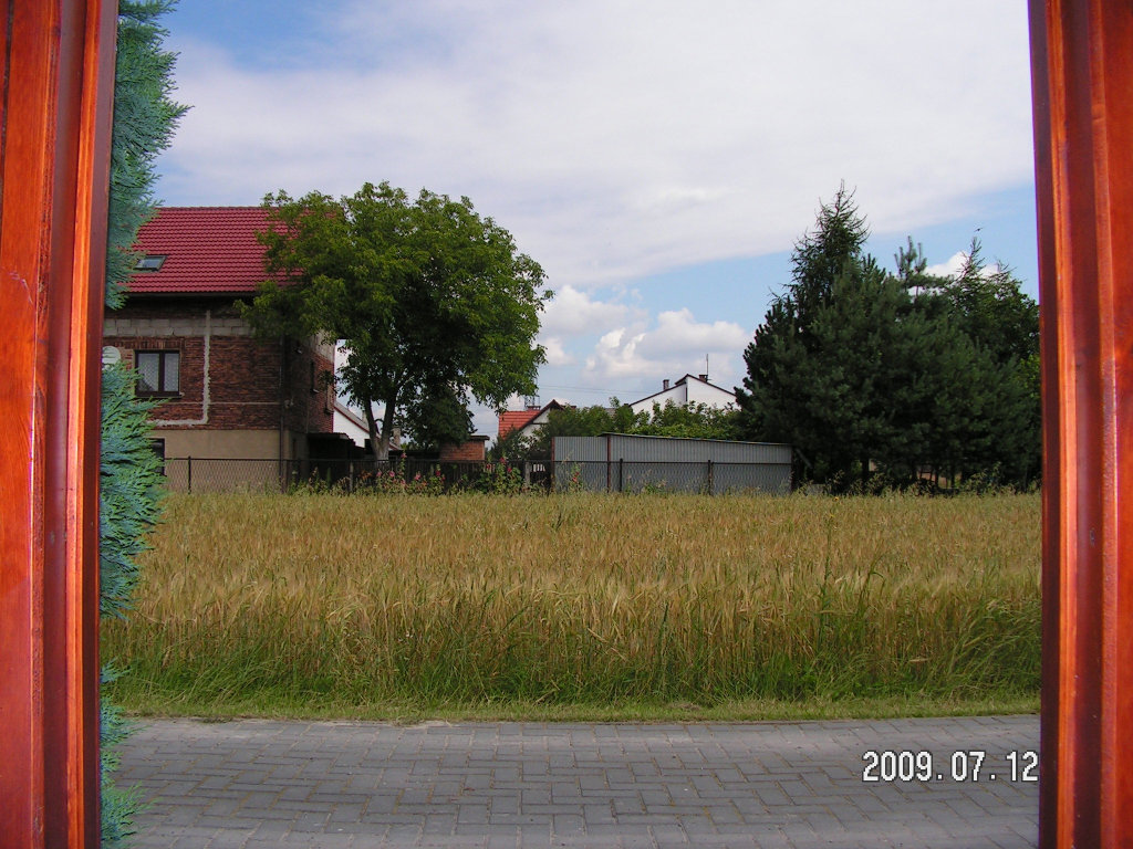Widok z okna 