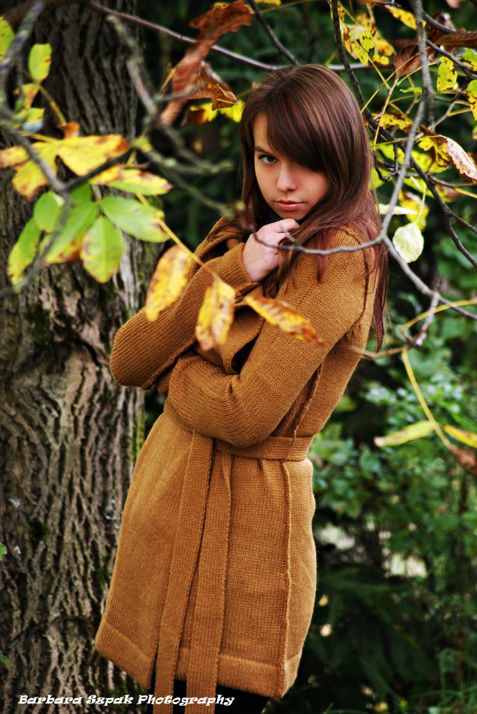 Late autumn