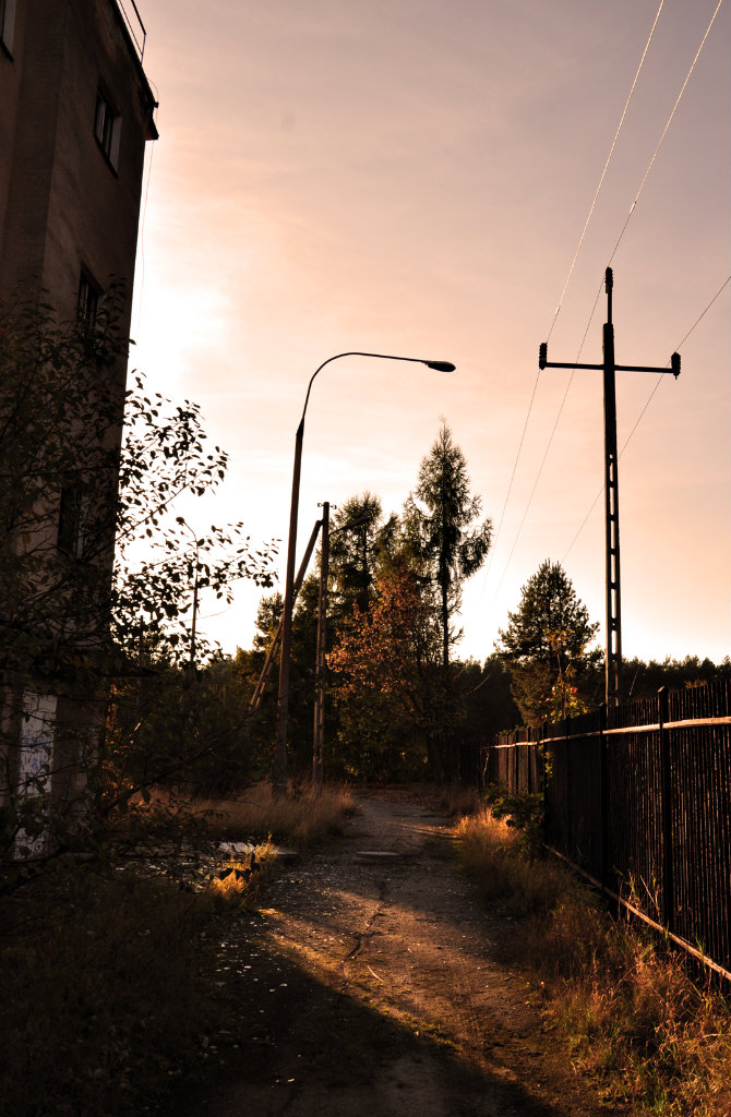 autumn.
