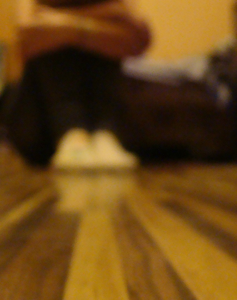 [*]