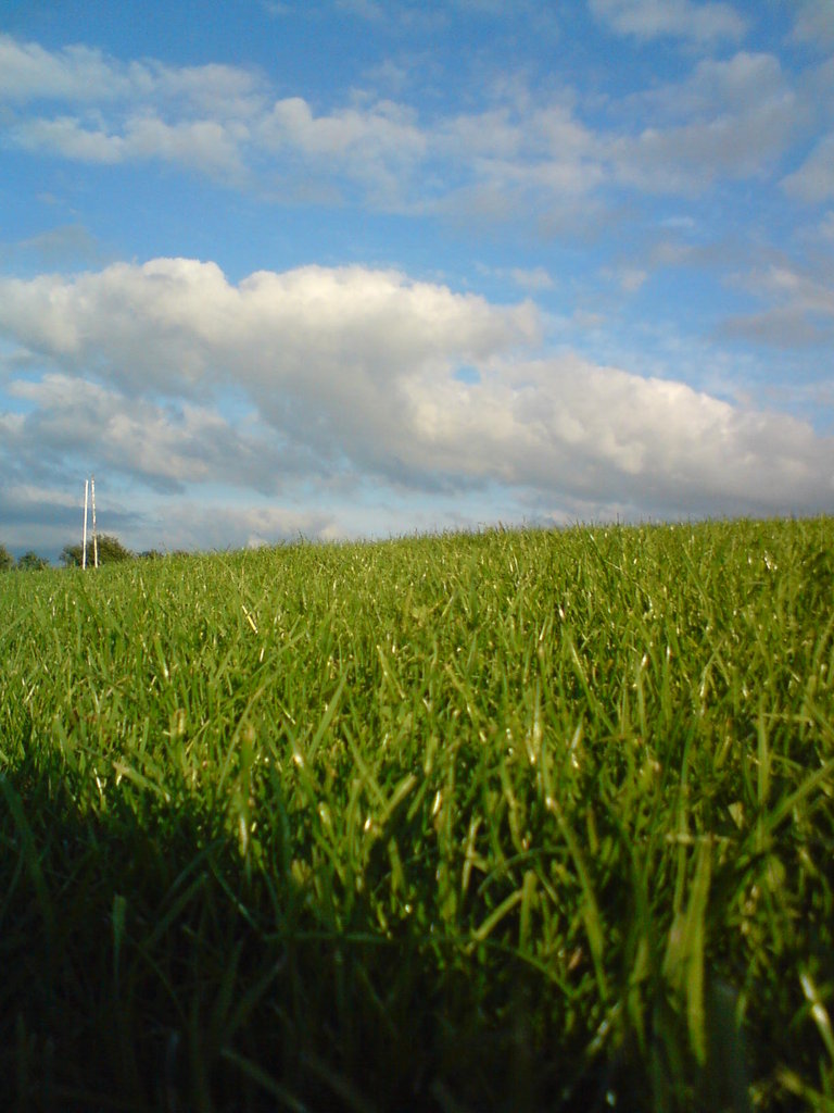 kocham y w obokach 