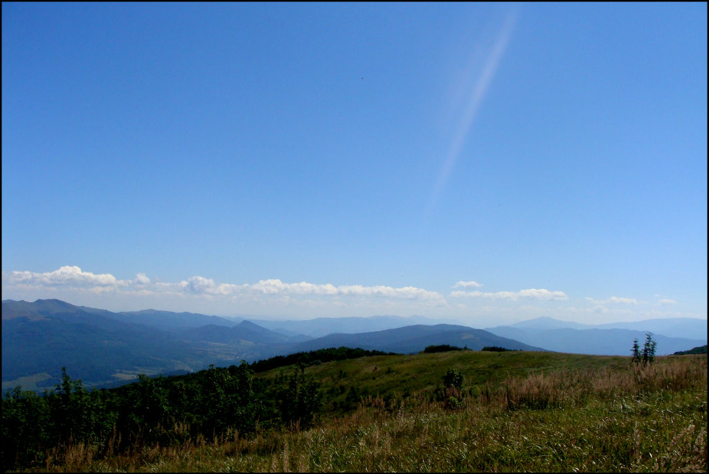 Poniedziaek. 