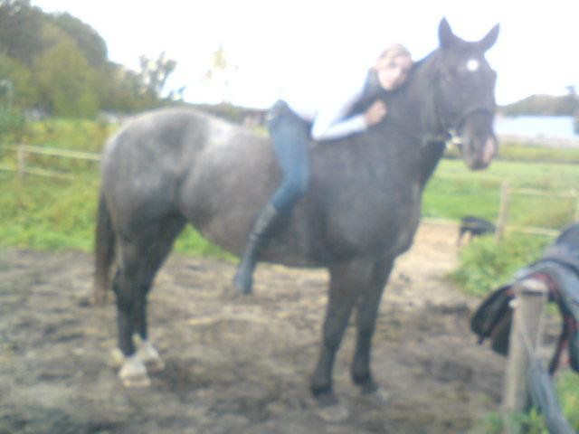 Na Oklep < 33