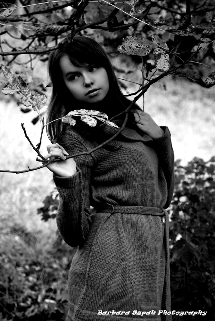 Late autumn