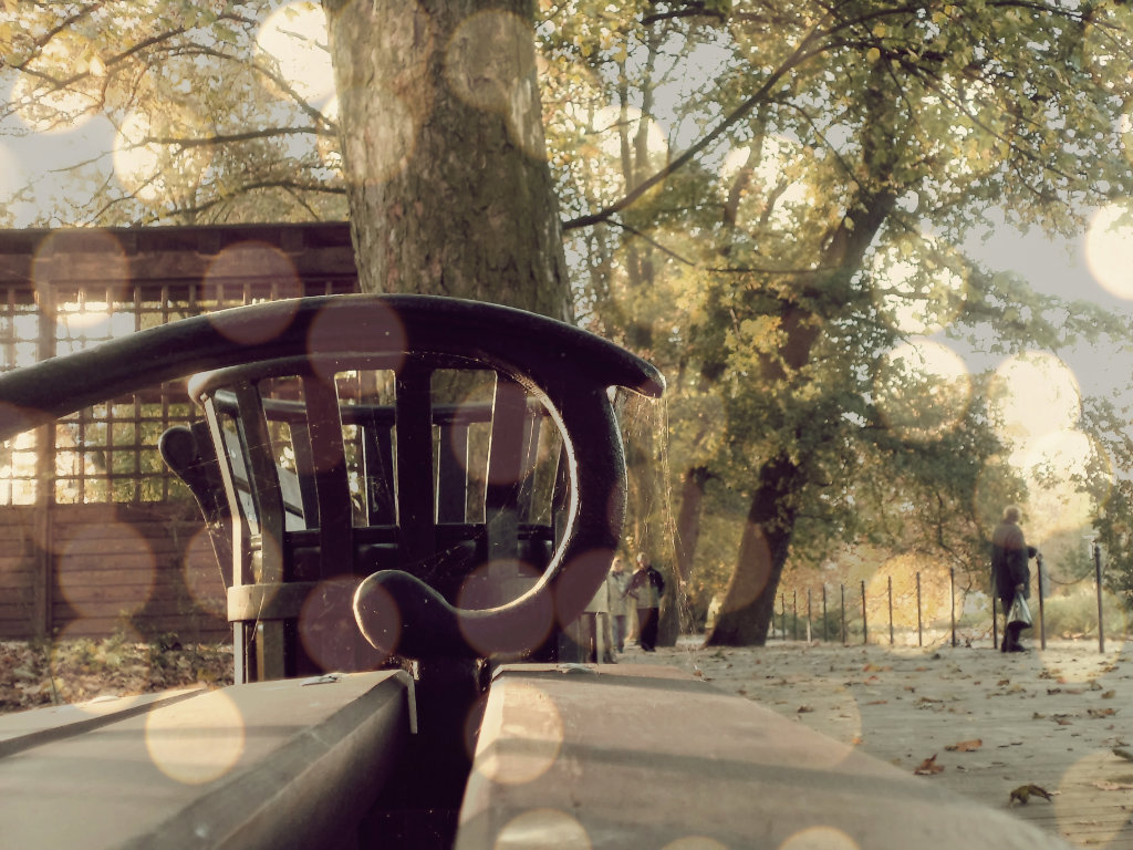 Autumn