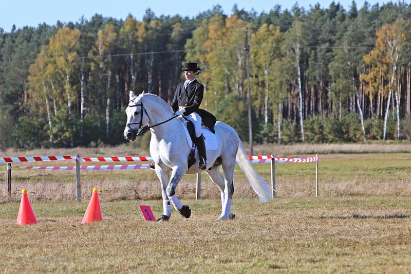 Hubertus.
