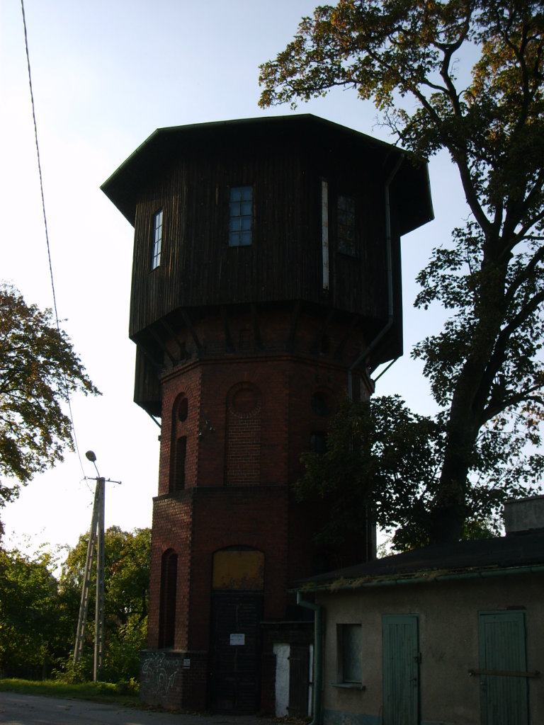 Unisaw Pomorski (5)