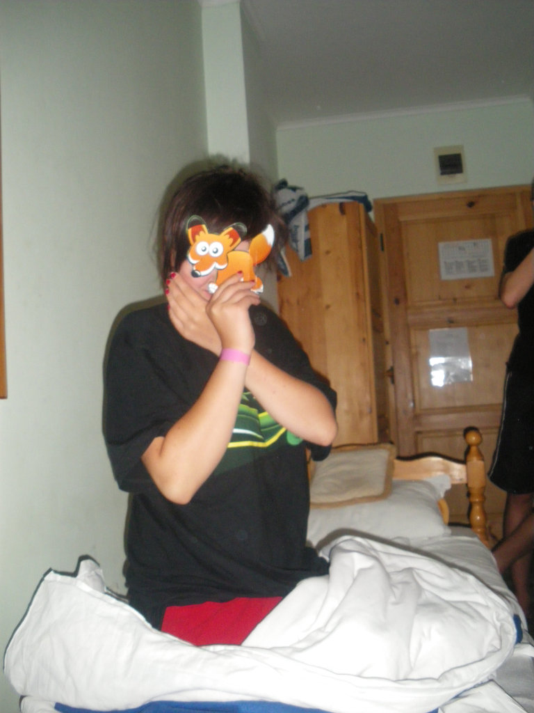 lisek xd