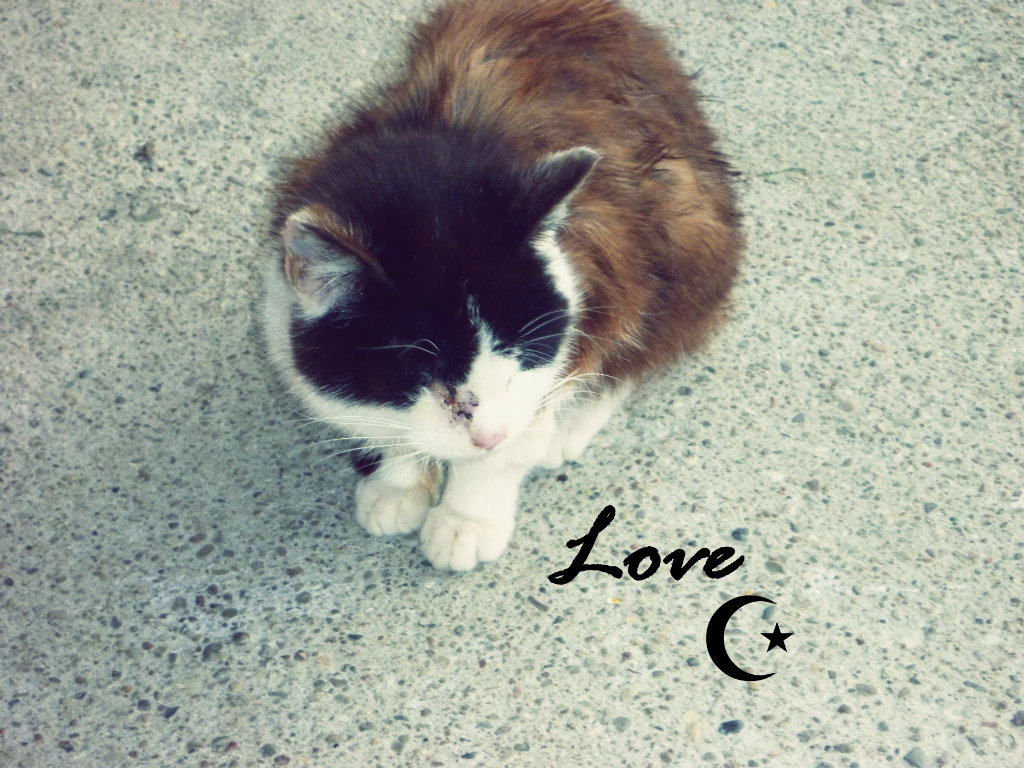 Lovee :D