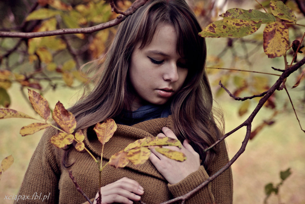 autumn