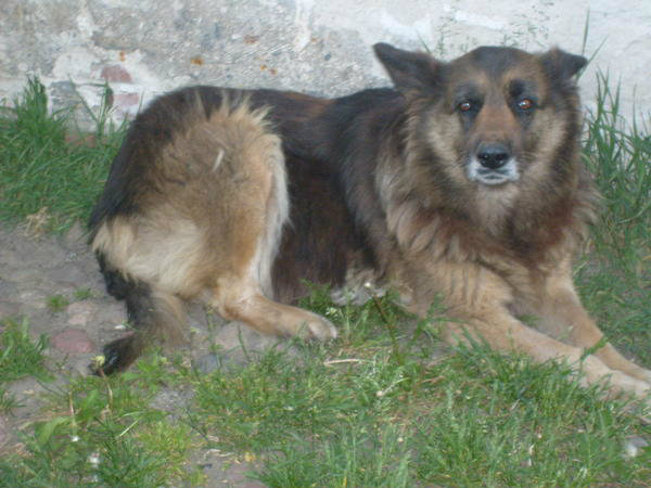 Kamcia :)