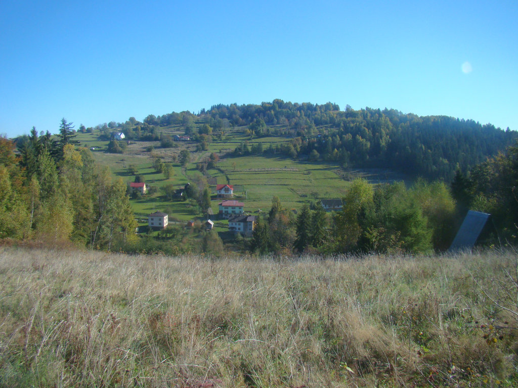 Kolice Lalik