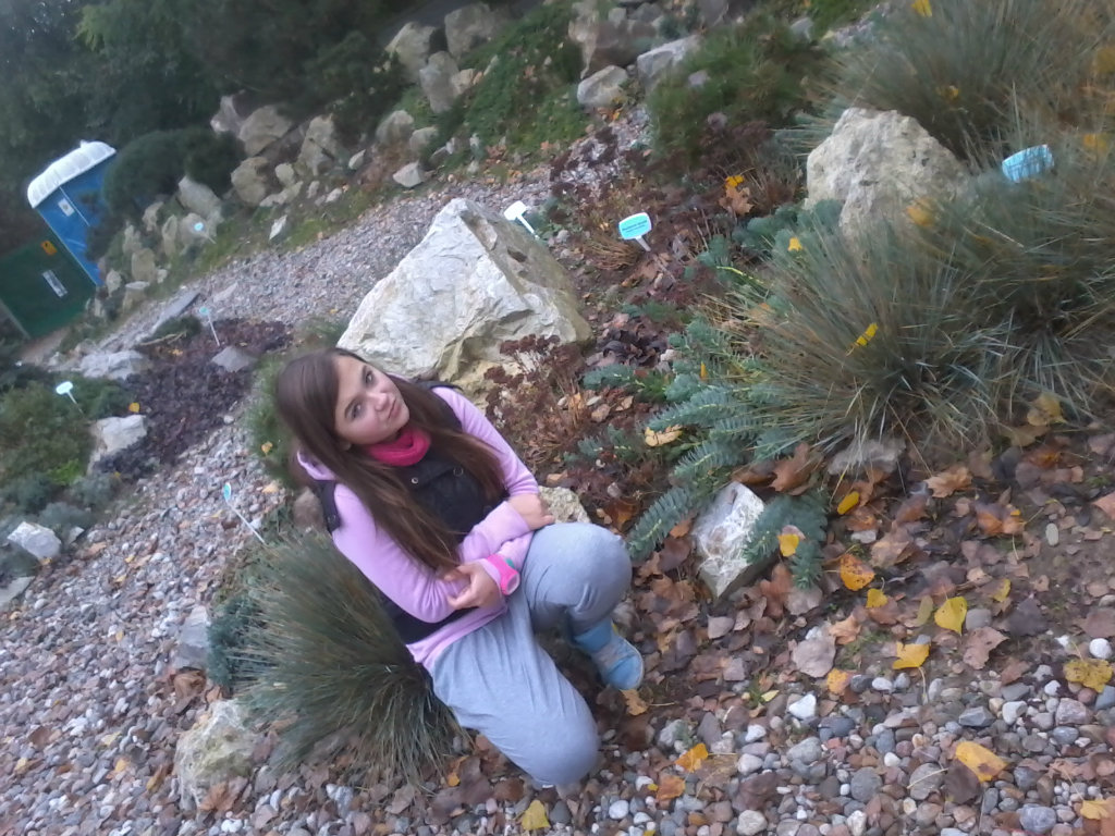 w Zoo  xd