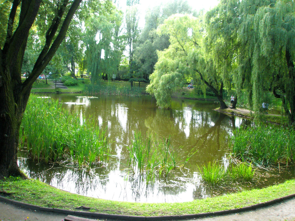 Botanik Zabrze:))
