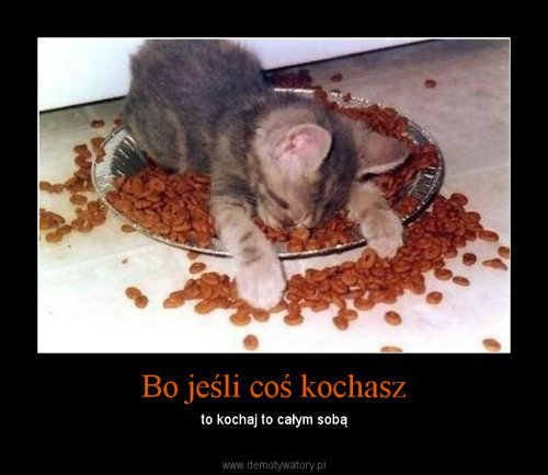 opisy i cytaty . ;d