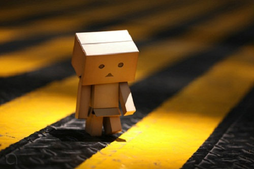 Danbo na pasach 