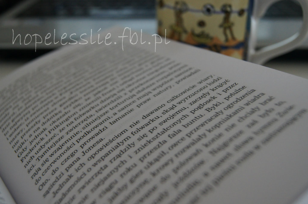 nowy photoblog.