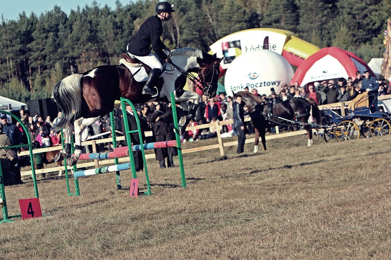 Hubertus.