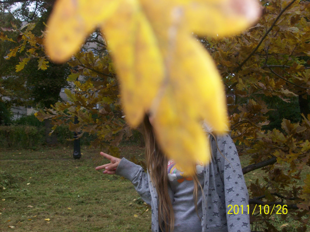 tsknie kur*a all day, all night