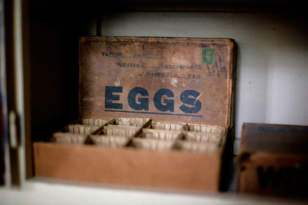 eggs