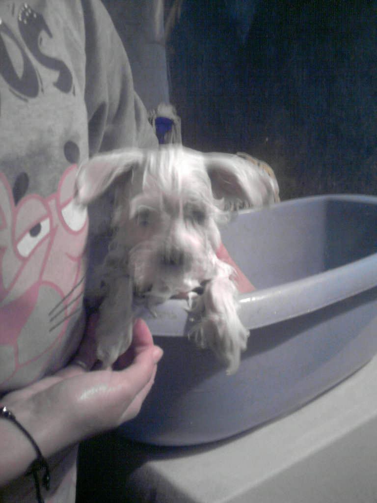 Miss mokrego futerka ; **