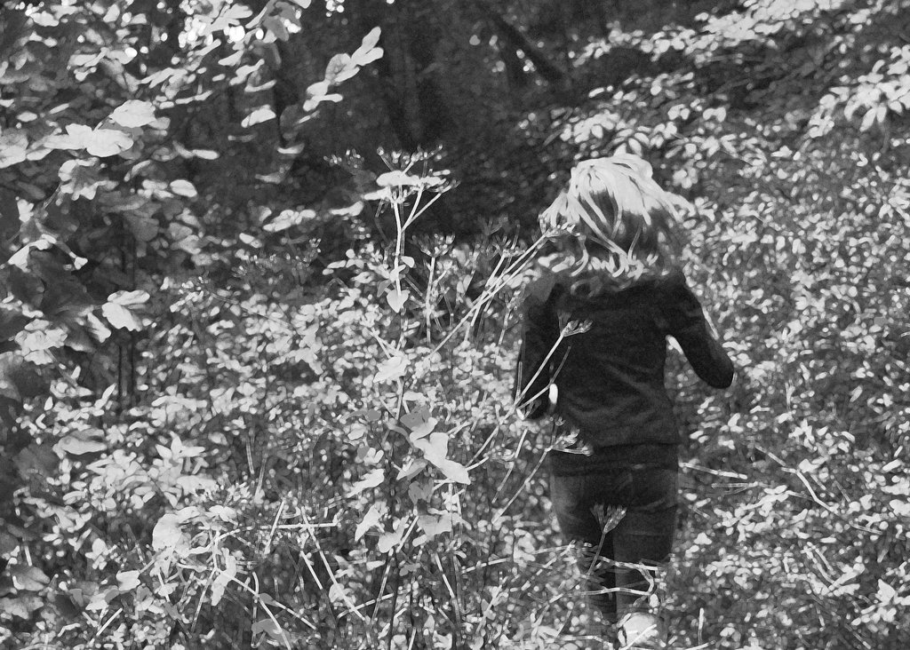 1. Fly in the forest :)