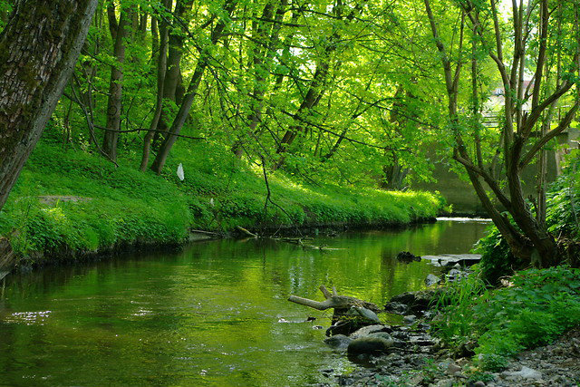 2. Magic of nature ....