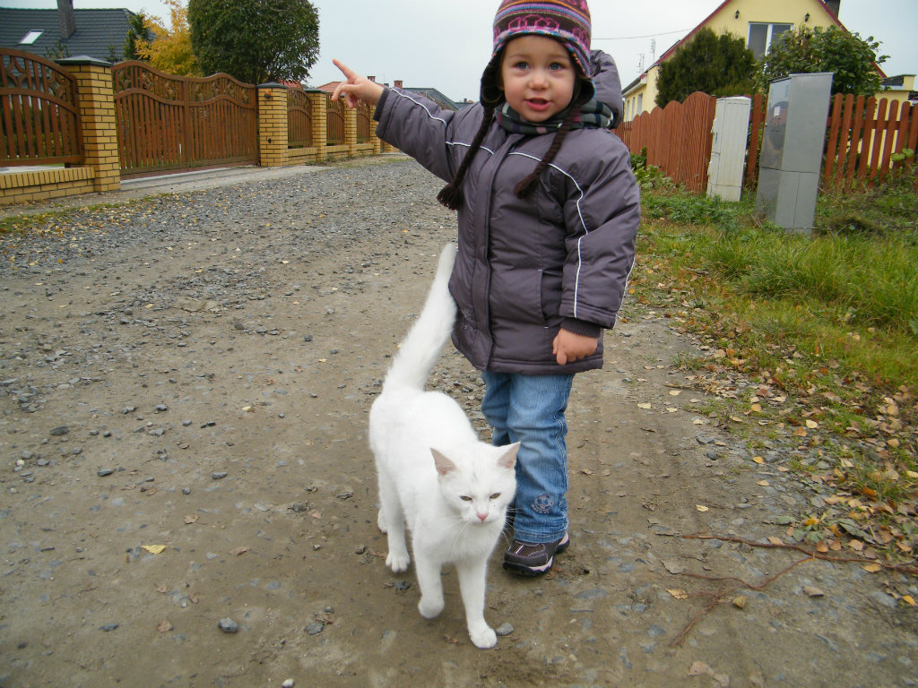 biay kotek