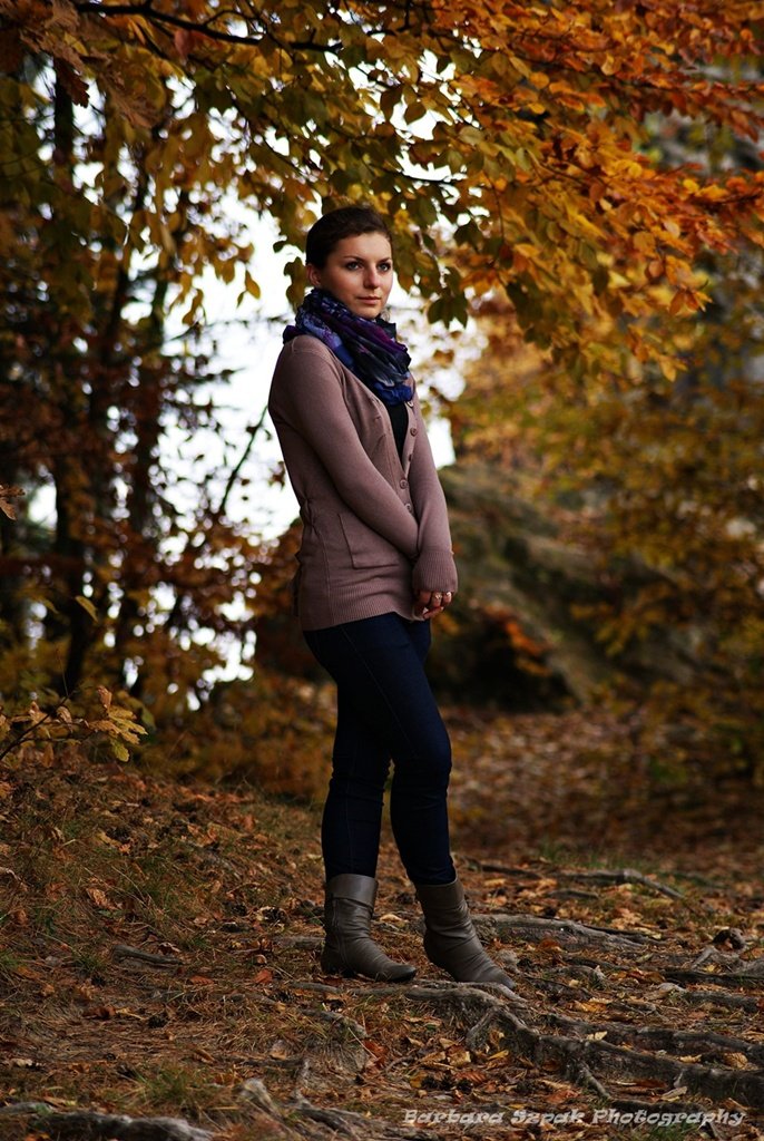 Late autumn