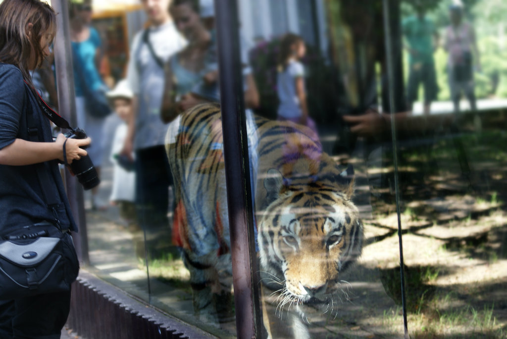 Zoo