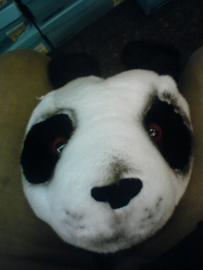 PANDA.