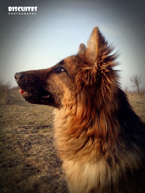 Witam ponownie :D