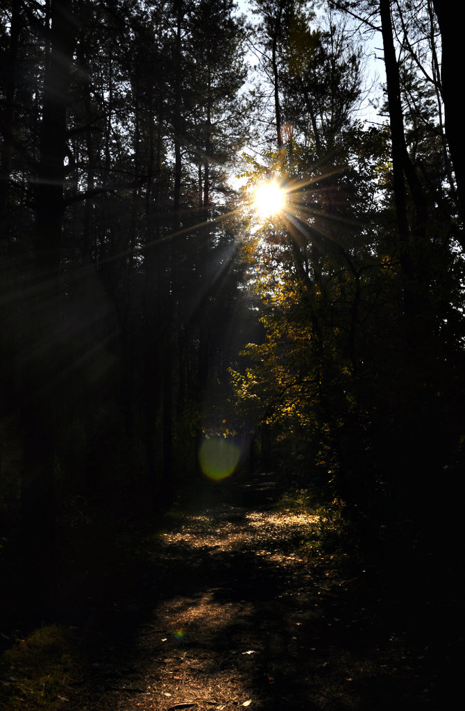 autumn.