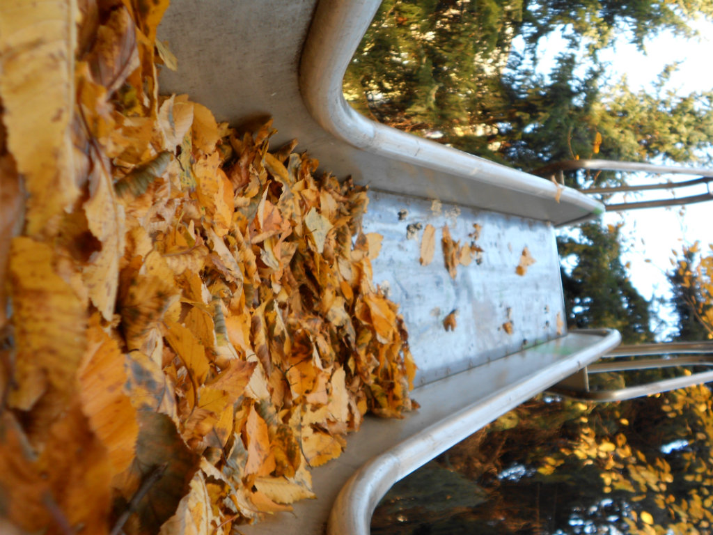 Herbst 2011
