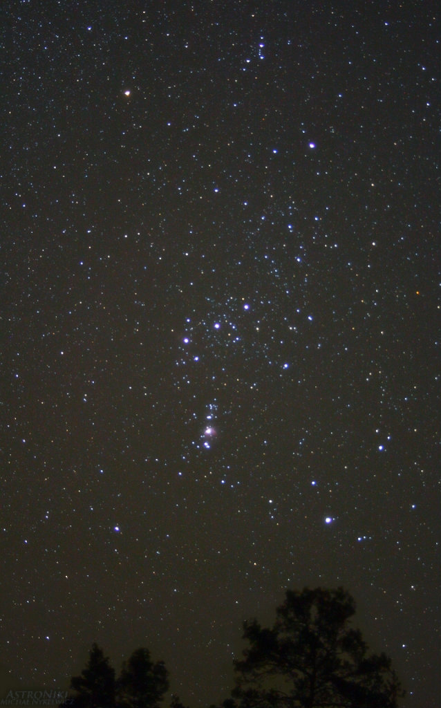 orion