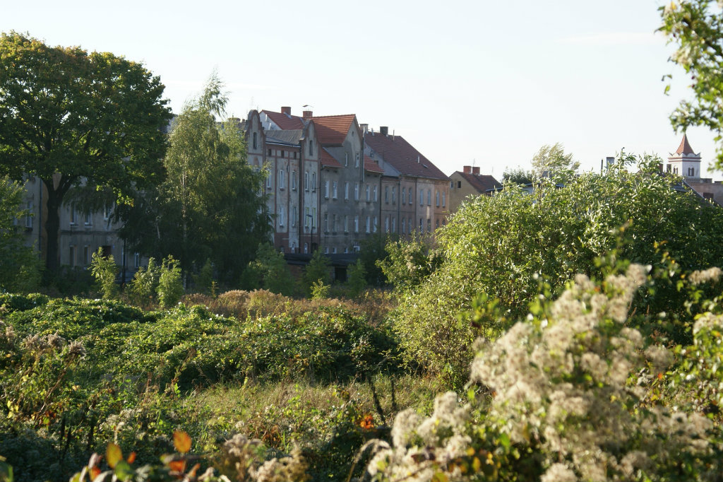 Granica