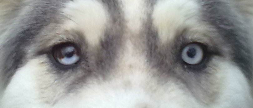 Oczka ;*