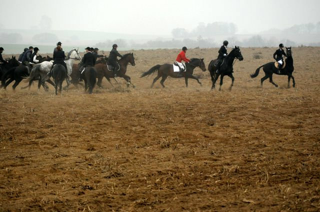 Sawcin 2011