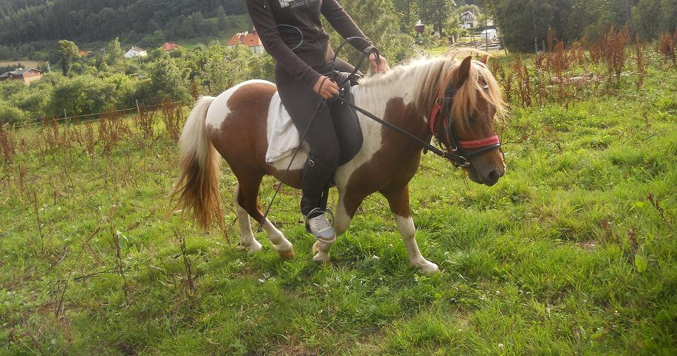 Sprzedam lub zamieni !!!!!!!!