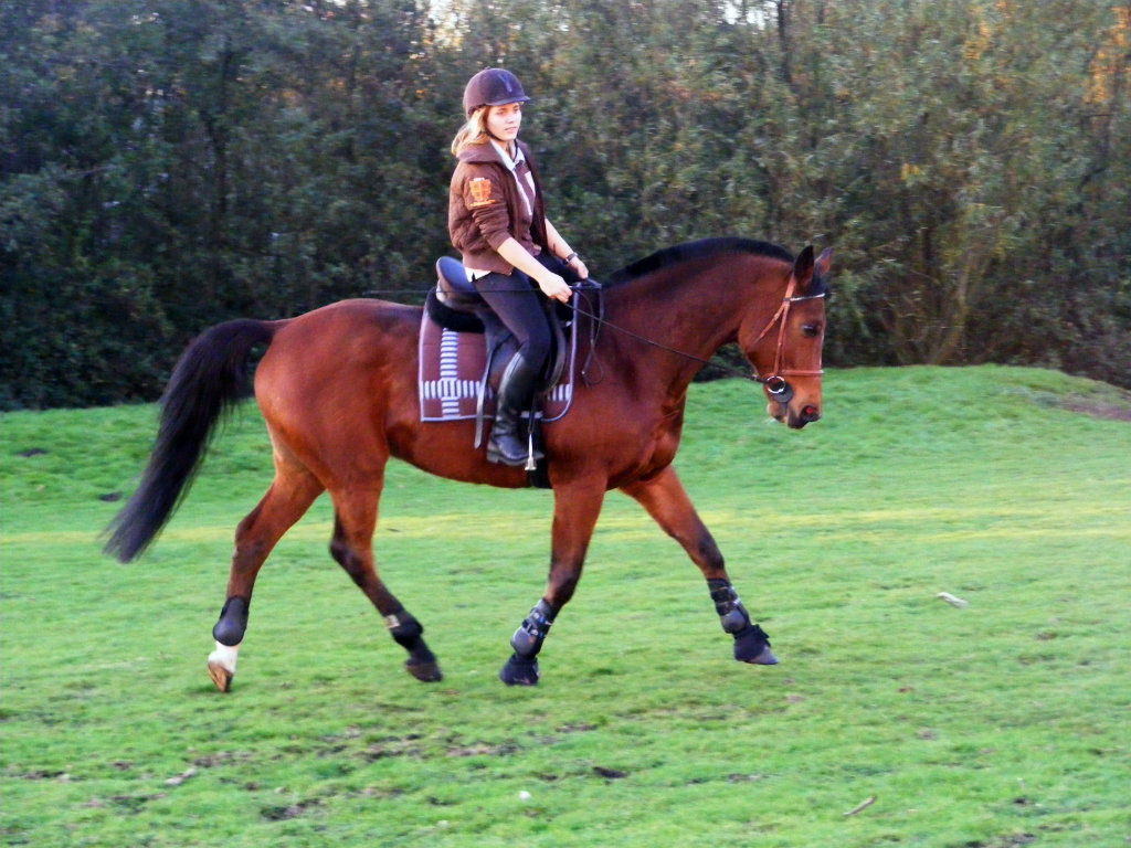 listopad '11