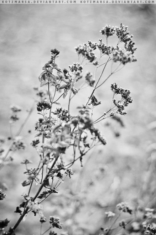 Autumnal melancholy.
