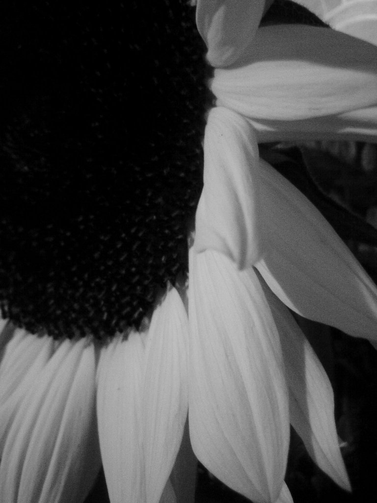 I' good :*