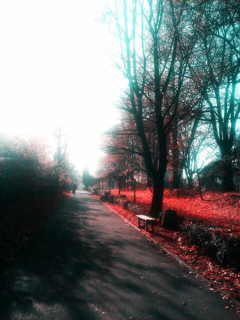 Wiele.