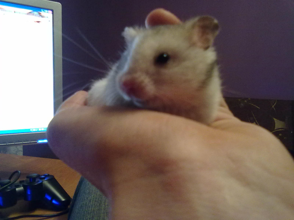 :)