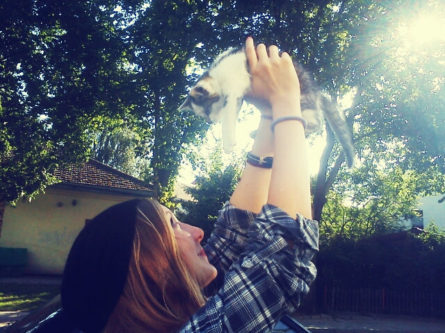 kicia 