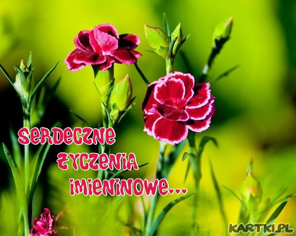 Marcinie. ;*