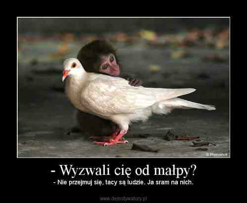 Taka Jest Prawda .. ; (