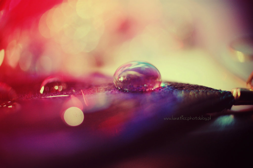 Drop