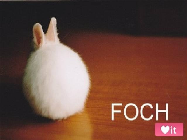 FOCH
