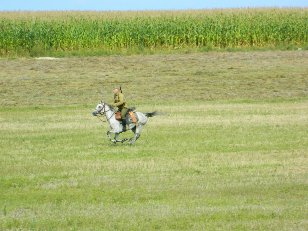 Komarw 2011